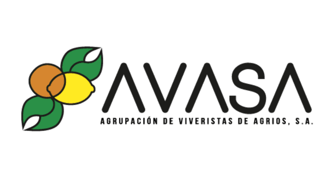 Logo de AVASA