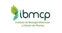 IBMCP